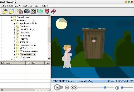скриншот Flash Player Pro v.3.0